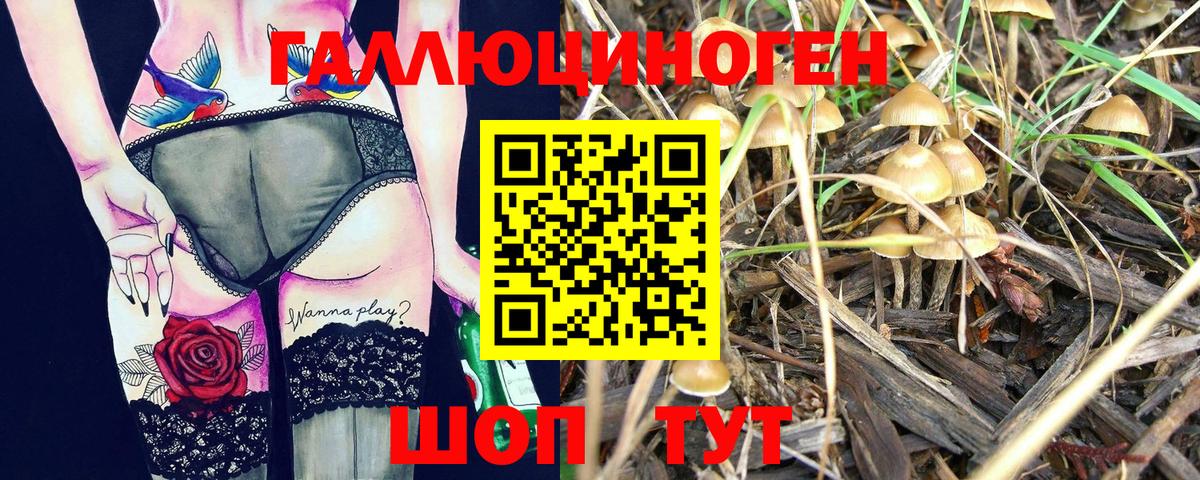 Галлюциногенные грибы мухоморы Курчалой